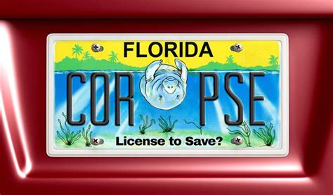 Florida's Specialty License Plates Steal Millions From Manatees and ...