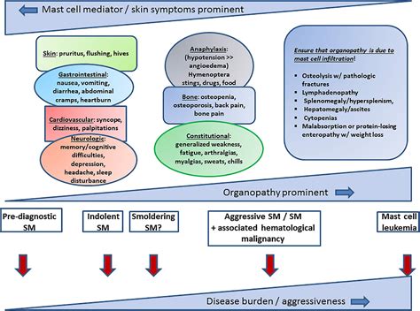 Systemic mastocytosis causes, symptoms, diagnosis, treatment & prognosis