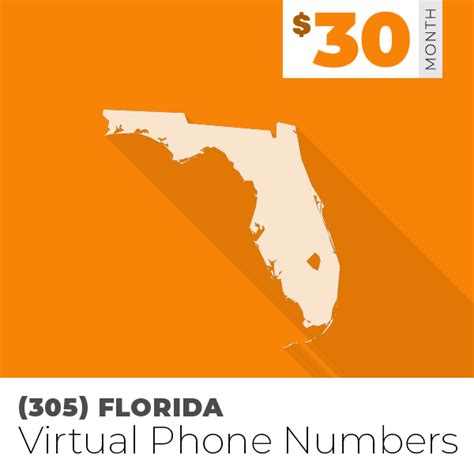 (305) Area Code Phone Numbers For Business | $30/Month