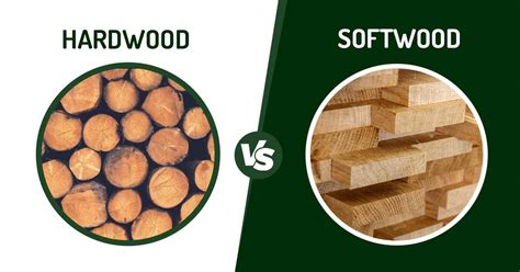 Hardwood vs Softwood : Unraveling the Core Differences