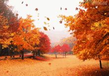 Fall Weather Gif - GIFcen