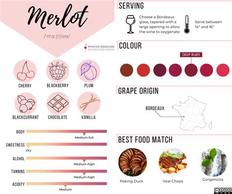 Interesting facts about Merlot | WineTourism.com