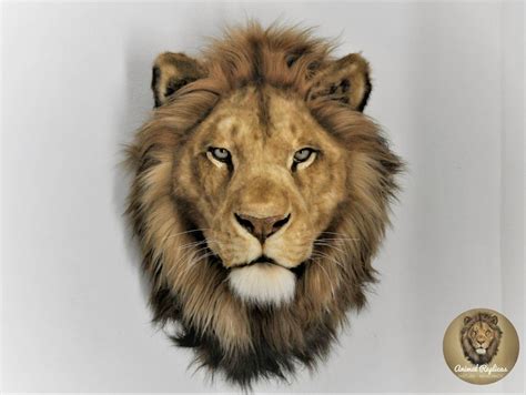 Reproduction Lion Head Faux Taxidermy Mount - Etsy