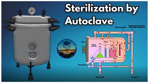 Autoclave Definition Uses Working Principle And Types - vrogue.co