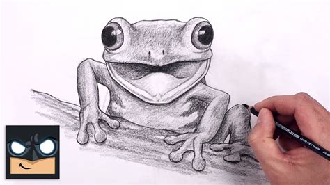 Easy To Draw Frog - Draw Spaces