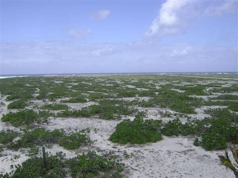 Tromelin Island – French Southern and Antarctic Lands - Atlas Obscura