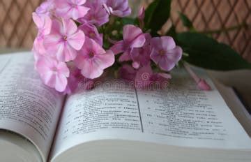 670 Open Bible Flowers Stock Photos - Free & Royalty-Free Stock Photos from Dreamstime