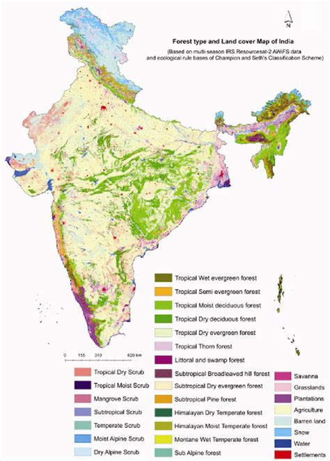 Forest type and land cover map of India. | Download Scientific Diagram ...