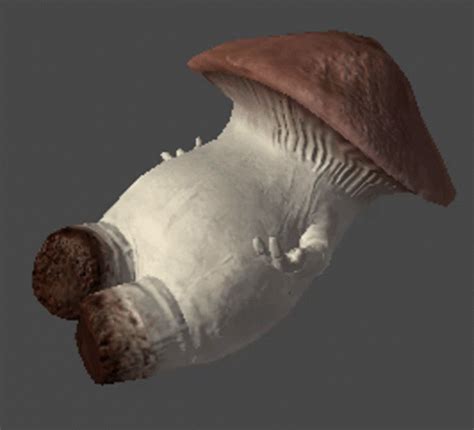 Mushroom Gif - IceGif