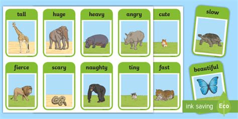 Zoo Animals Adjectives Flashcards - (teacher made)