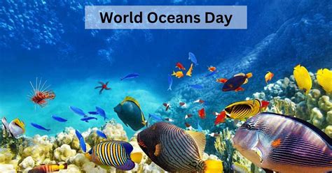 What is World Oceans Day? Why is it Celebrated on 8th June?