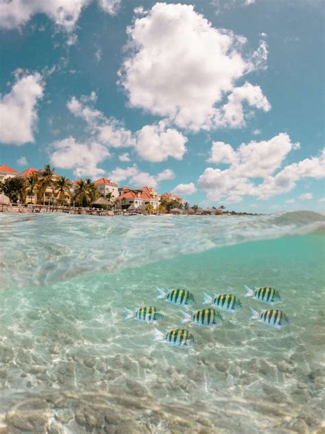 17 Best Caribbean Snorkeling Resorts