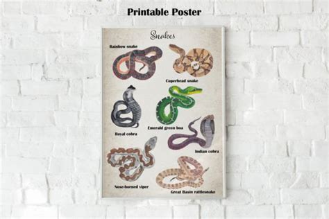 Snakes Printable Poster Graphic by Visual Animal · Creative Fabrica