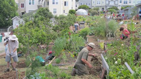 Best Community Gardens In San Francisco - CBS San Francisco