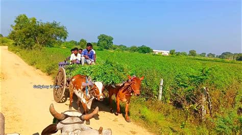 daily vlog village vlogs 🕊️ Hyderabadi INDIA - YouTube