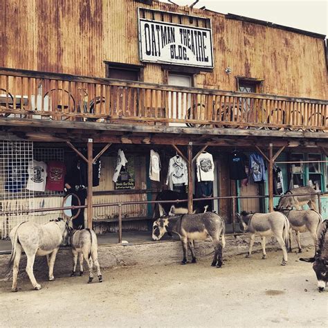 The "living ghost town" of Oatman, Arizona - Unusual Places