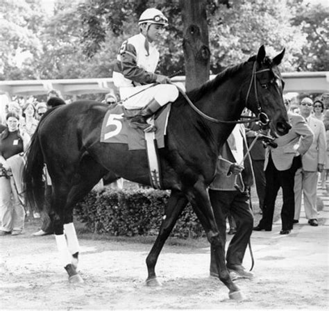 Ruffian - Analysis of a Thoroughbred Racehorse