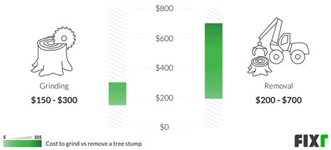 2022 Stump Grinding Cost | Average Cost of Stump Grinding