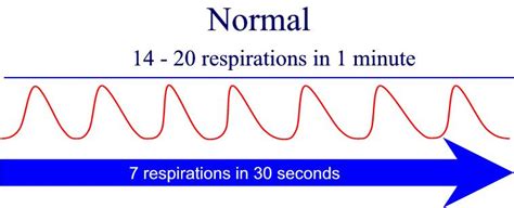 Nursing Fundamentals II Multimedia Edition - Vital Signs