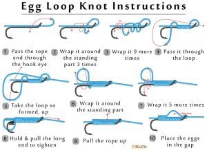 How to Tie an Egg Loop? Steps, Variations & Video Instructions