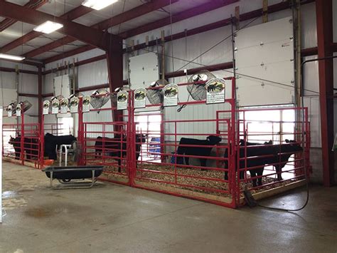 Show Barn Showcase | Horn Livestock | Cattle barn, Livestock barn, Show cattle barn