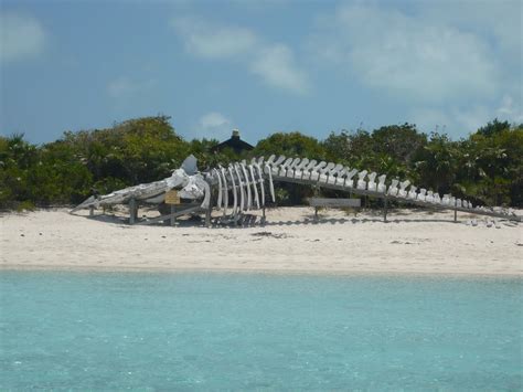 Exuma Cays Land and Sea Park - Alchetron, the free social encyclopedia