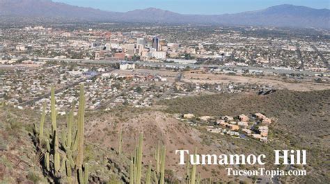 Everything You Need to Know Before You Hike Tumamoc Hill