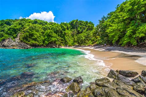 Hidden Secrets of Tobago : Cotton Bay aka Celery Bay