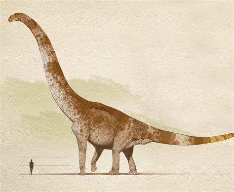 Sauropods of the Early Cretaceous | Prehistoric animals, Dinosaur art ...