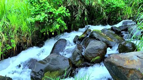 River Healing Ambience, Sounds For Sleeping, Waterfall River Relaxation ...