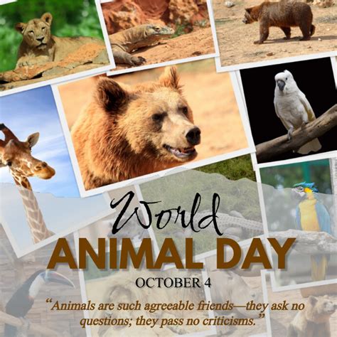 Copy of World animal day poster | PosterMyWall