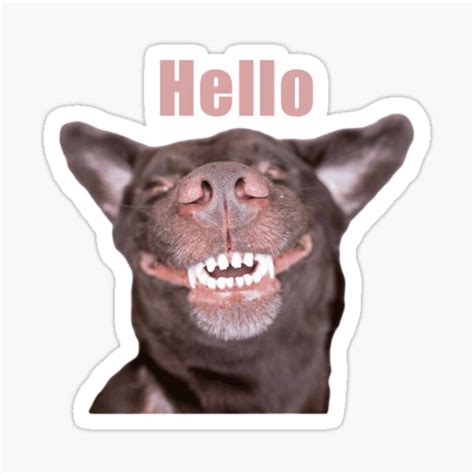 "Smiling Puppy Meme" Sticker by CuteKaley | Redbubble