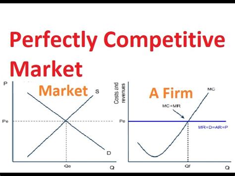 Perfect Competition Graph