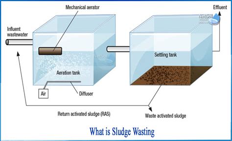 What is Sludge Wasting - Netsol Water