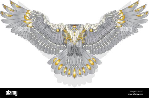 Eagle flying on white background illustration Stock Vector Image & Art ...