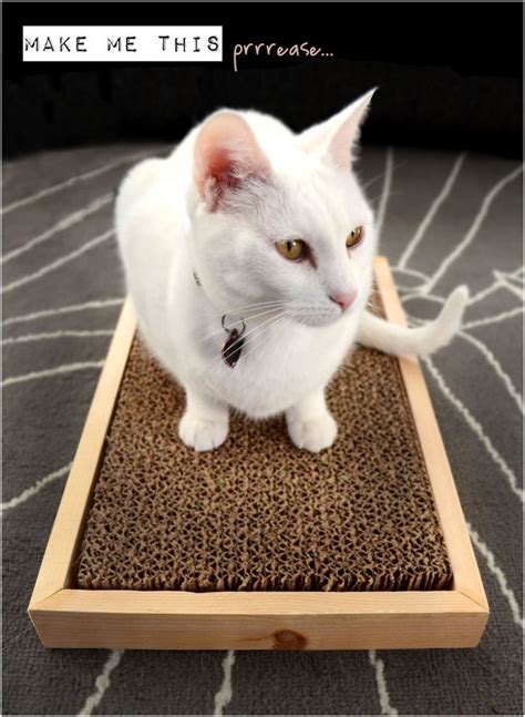 Top 10 DIY Cat Scratching Posts and Pads | Diy cat scratcher, Diy cat scratching post, Cat diy