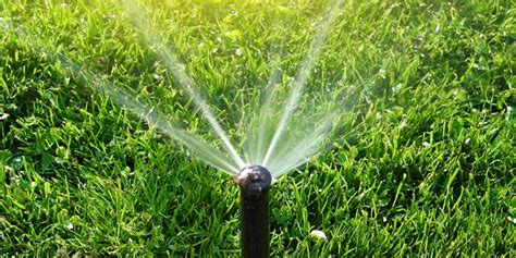 Soak and Cycle Watering - Reddi Sprinkler Service