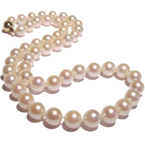 Pearl String PNG Image - PurePNG | Free transparent CC0 PNG Image Library