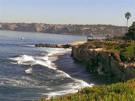 Thriving Nature In Photos : Why I Fell In Love With La Jolla Beach in Southern California