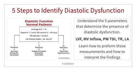 Grade 1 Lv Diastolic Dysfunction Means - Annamaria Chavez's 2nd Grade Math Worksheets