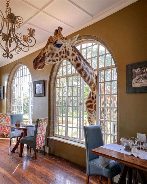 Giraffe Manor Nairobi - Luxury Kenya Safaris -Acacia Safaris