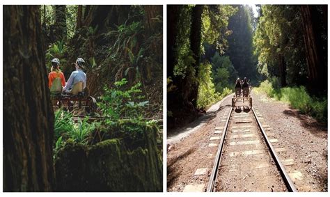 You Can Now Pedal Through The Redwood Forest Using Rail Bikes – Awareness Act