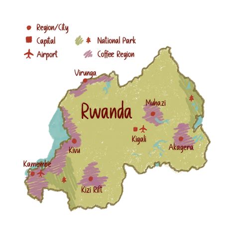 Rwanda Coffee Production and Sourcing Guide