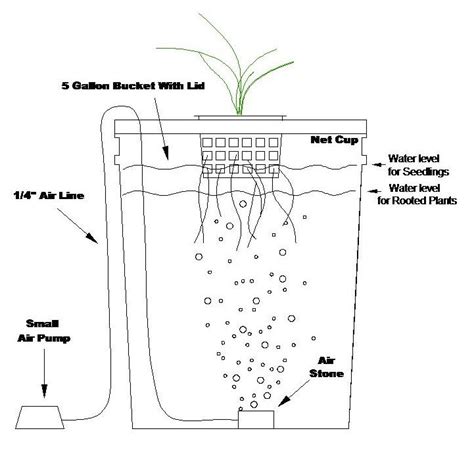 hydroponic 5 gallon bucket system | aquaponics diy