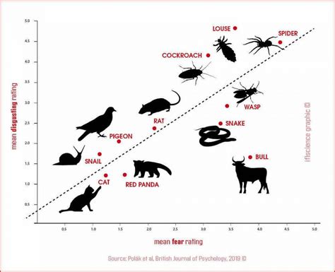 These Are The Animals That Provoke Fear And Disgust In Humans The Most