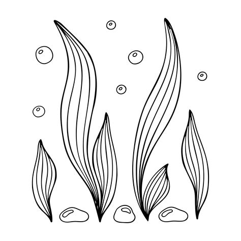 Doodle of seaweed with bubbles and stones. Hand drawn contour vector ...