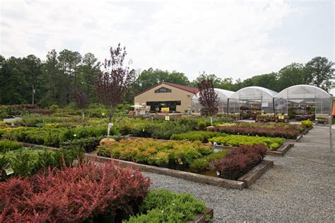 Project: Meadows Farms Nursery | Spotsylvania, VA