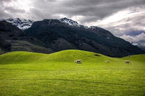 The Soft Hills on the way to Paradise, New Zealand | Flickr