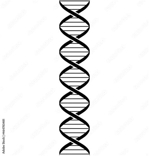 simple stylized dna strand double helix Stock Vector | Adobe Stock