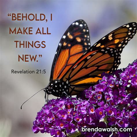 All Things New - Brenda Walsh Scripture Images